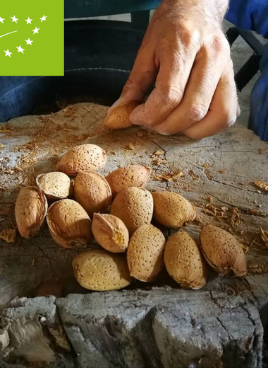 Mandorle in guscio di Sicilia Bio 300 gr